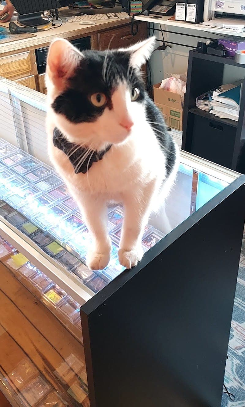 All Tapped Out Games