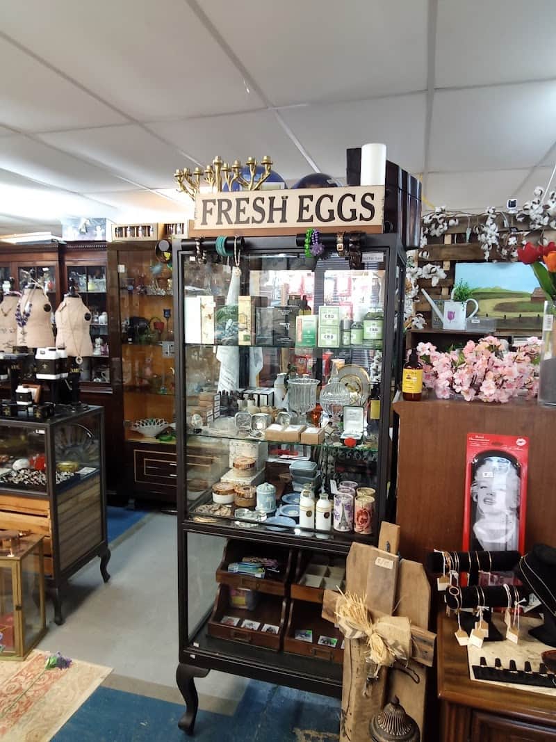Natural State Bargains