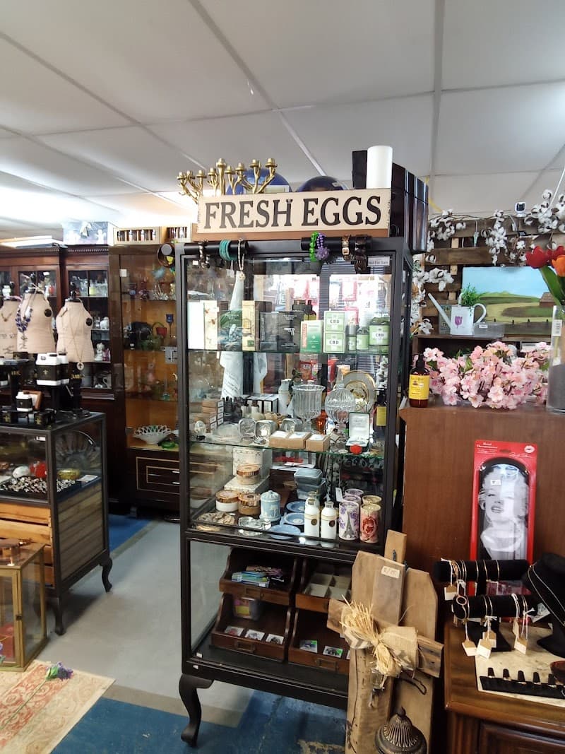 Natural State Bargains