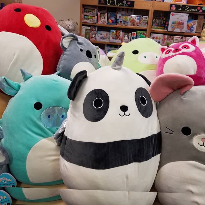 BrainyZoo Toys In The Folsom Premium Outlets