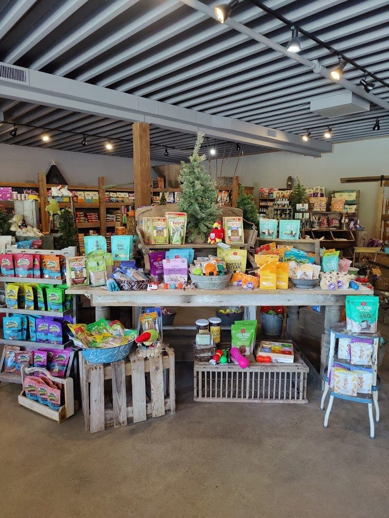 Big Nate's Trading Cards