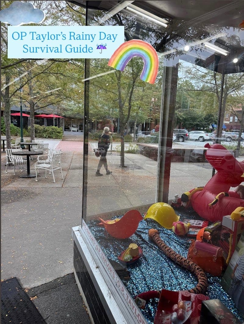 O.P. Taylor's Toy Store