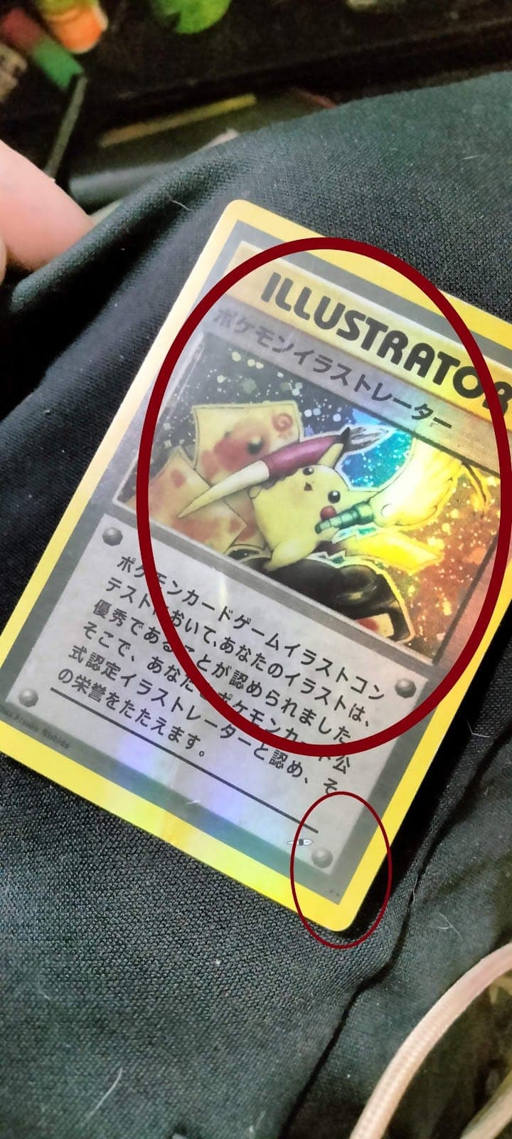 Magic City Sports Cards