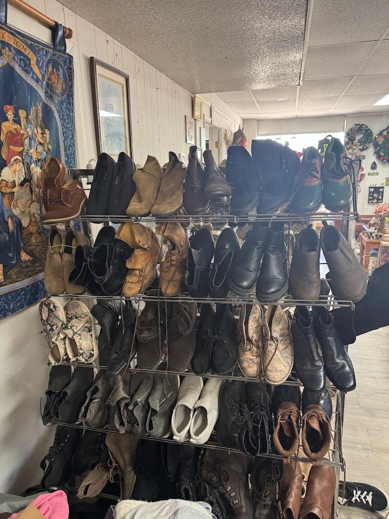 Everything Under The SON