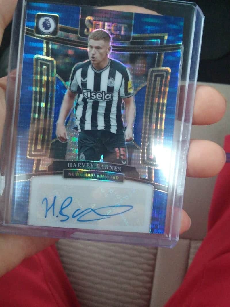 Shoreline Sports Cards