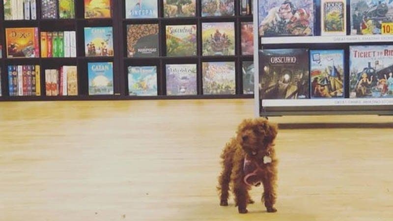 3 Gear Games / Studios