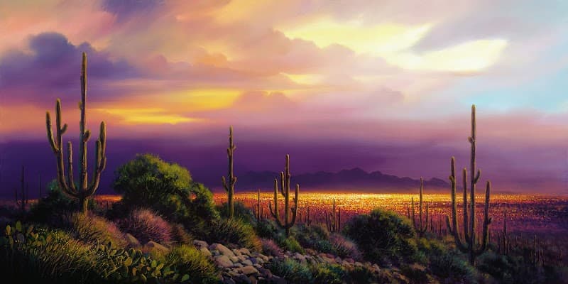 Amazing Discoveries Chandler