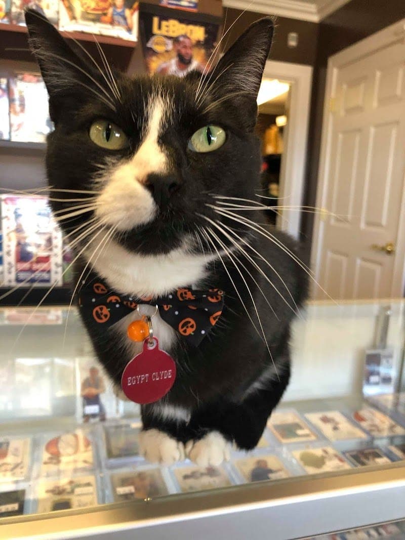 Brian's Sports Card Corner