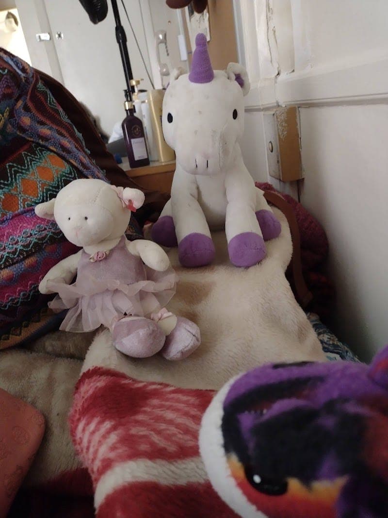 Trading Card Connect - Online Sales Only!