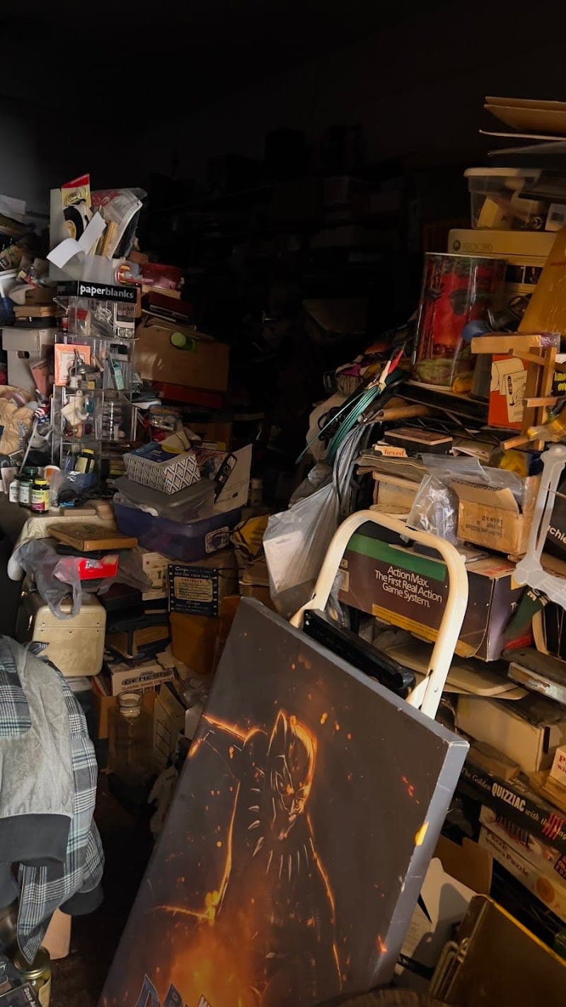 The Collectors Store