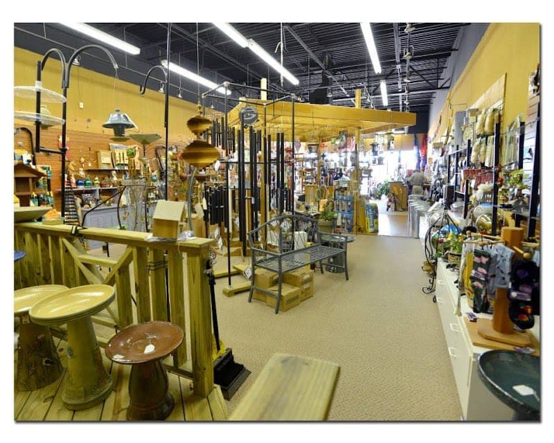 Kites Unlimited & Bird Stuff, etc